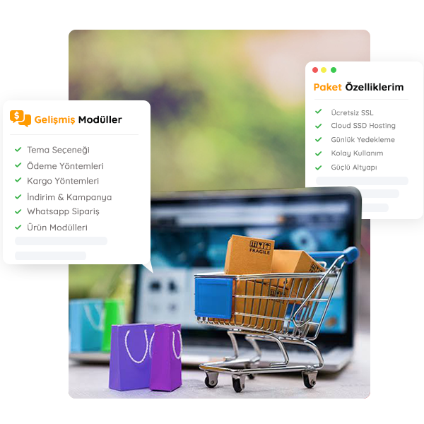 Hosting Paketleri